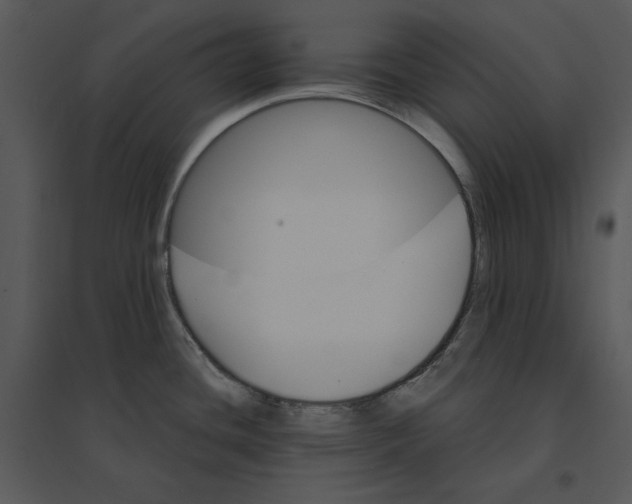 X0000095551436200801041321