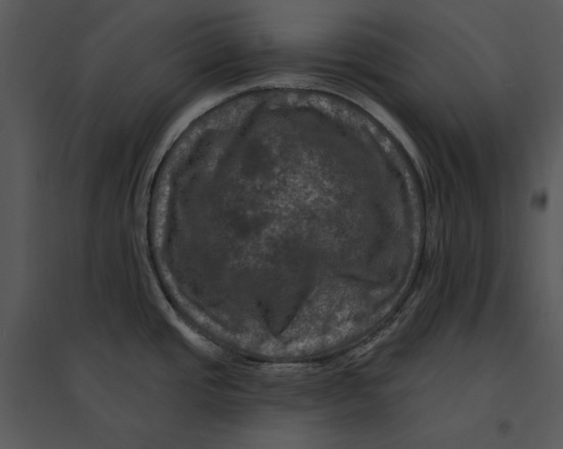 X0000095551437200801041321