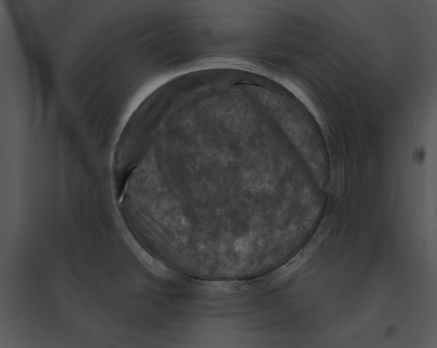 X0000095551438200801041321