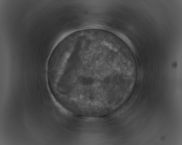 X0000095551439200801041321