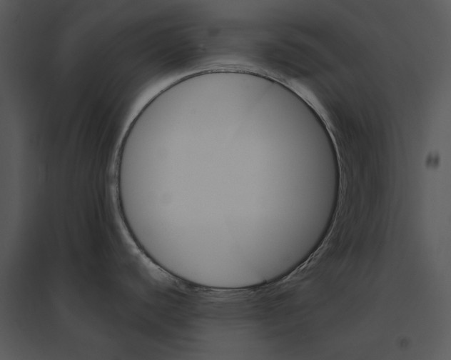 X0000095551440200801041321