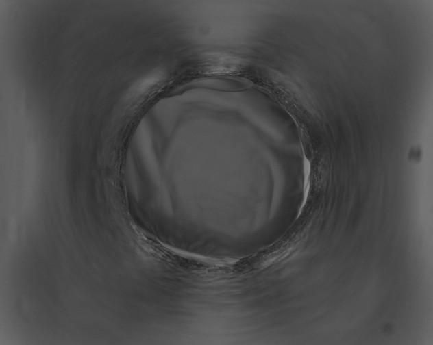 X0000095551441200801041321