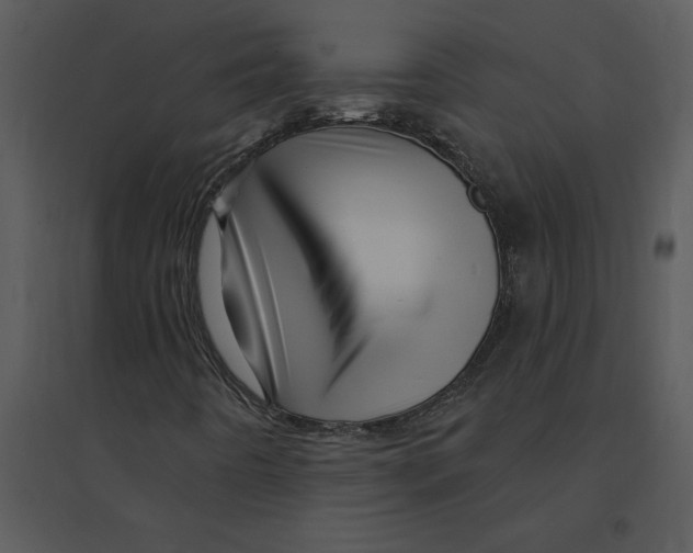 X0000095551442200801041321