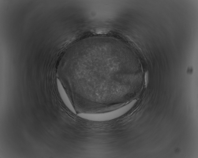 X0000095551443200801041320