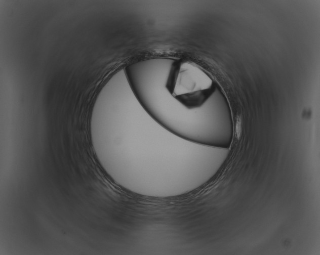 X0000095551444200801041320