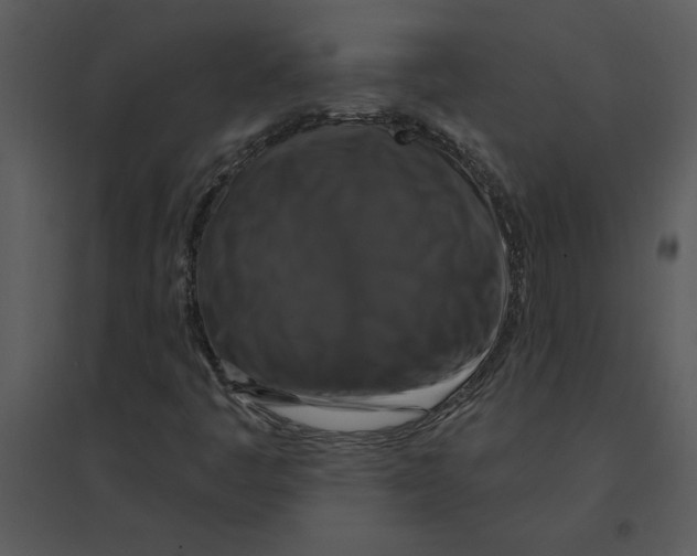 X0000095551445200801041320