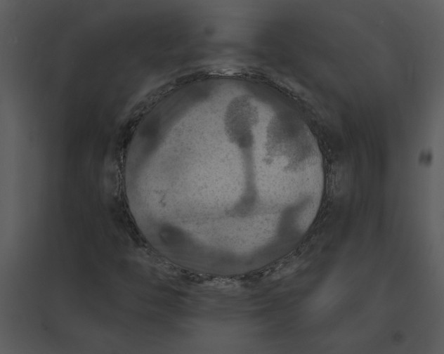 X0000095551446200801041320