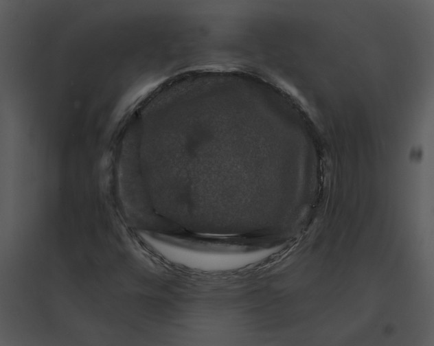 X0000095551448200801041320