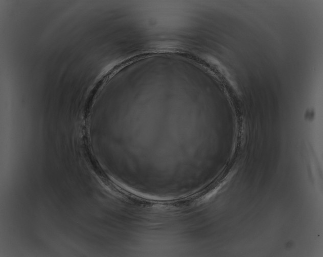 X0000095551449200801041320