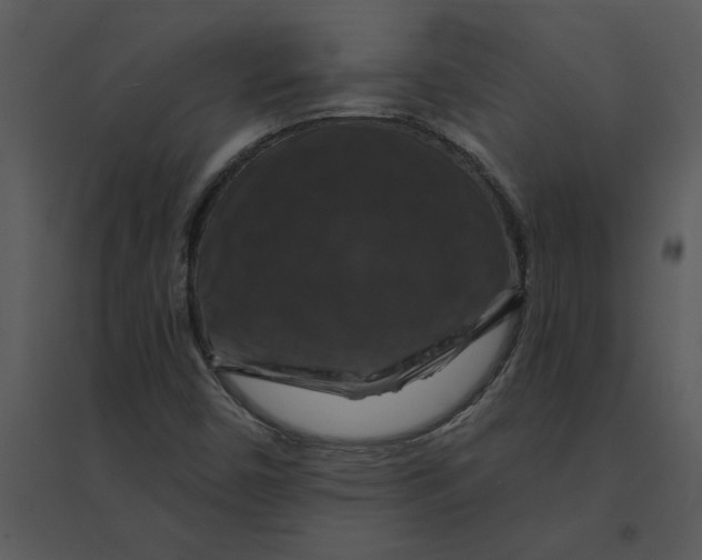 X0000095551450200801041320