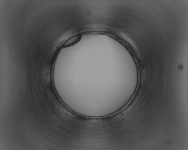 X0000095551451200801041320