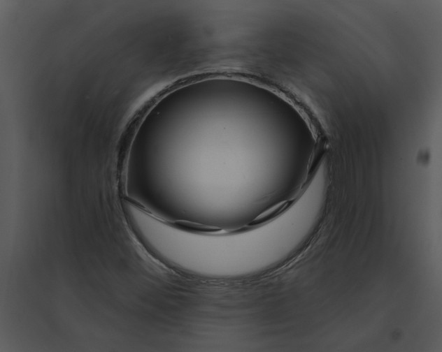 X0000095551452200801041320