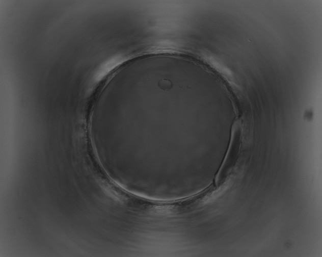 X0000095551453200801041320