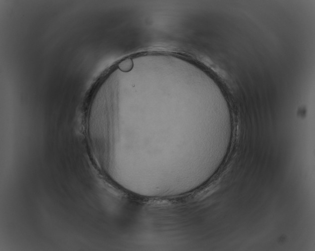 X0000095551454200801041320