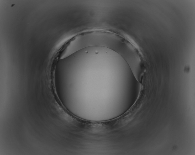 X0000095551456200801041320