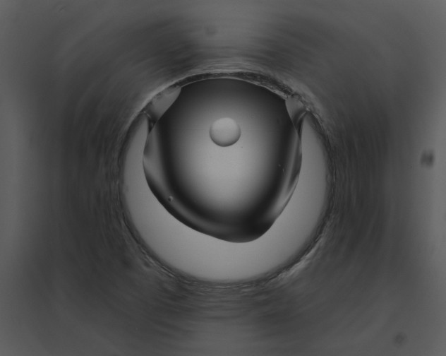 X0000095551457200801041320