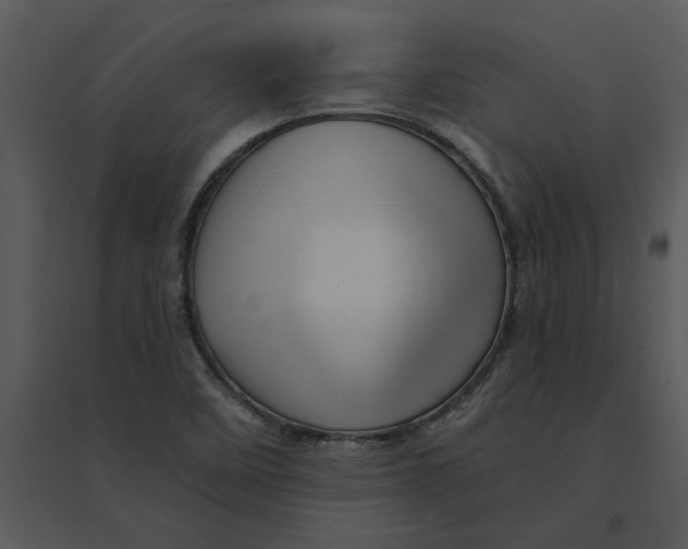 X0000095551458200801041320