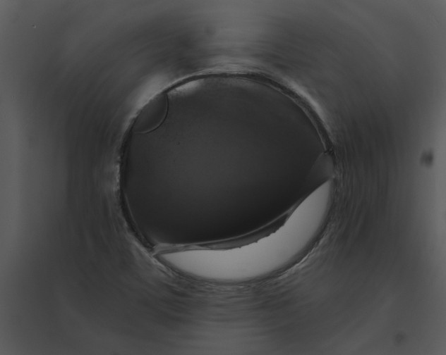 X0000095551459200801041320