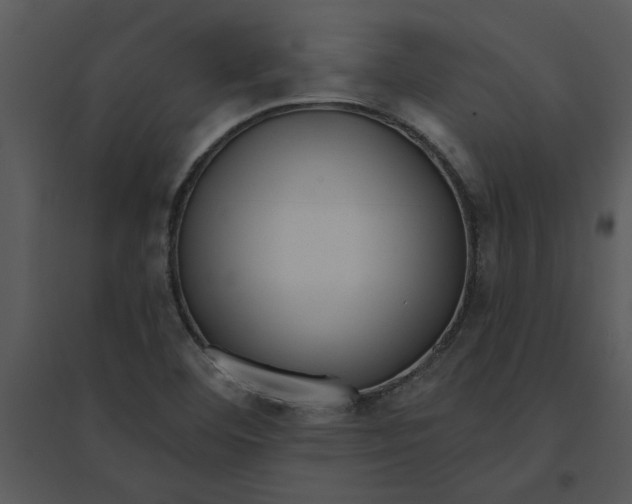 X0000095551460200801041320