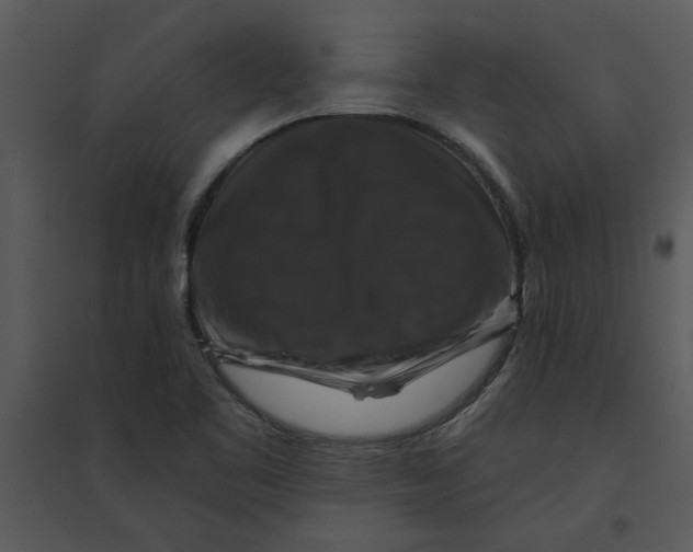 X0000095551461200801041320