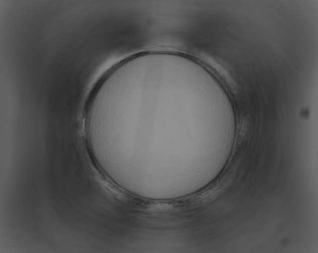 X0000095551462200801041320