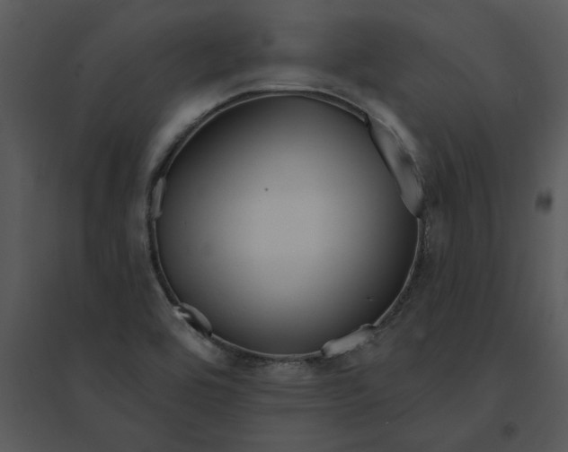 X0000095551464200801041320