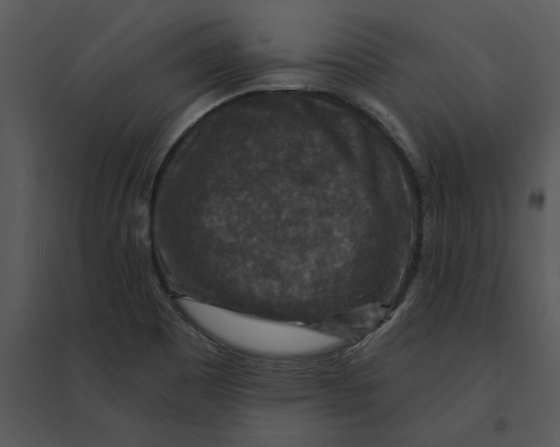 X0000095551465200801041320