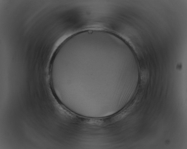 X0000095551466200801041320