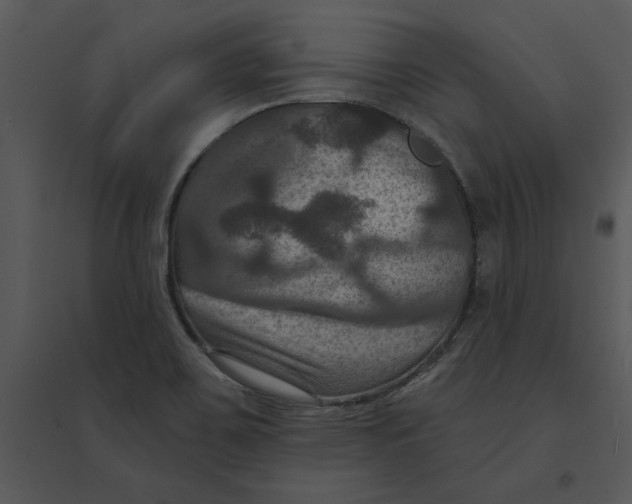 X0000095551467200801041320