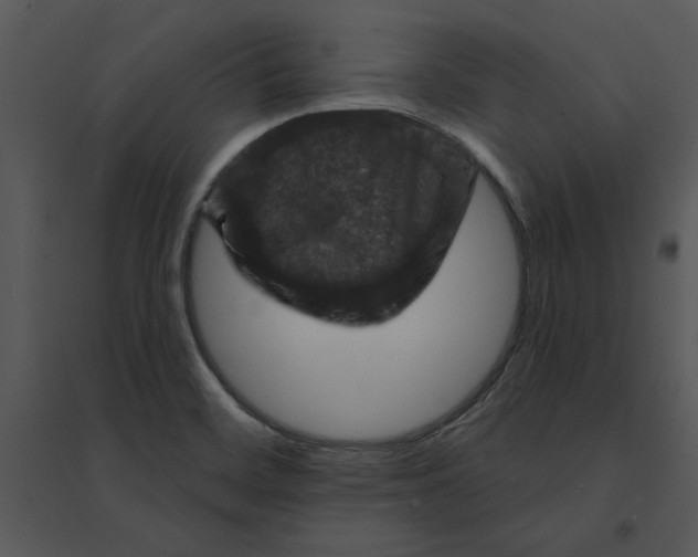 X0000095551468200801041320