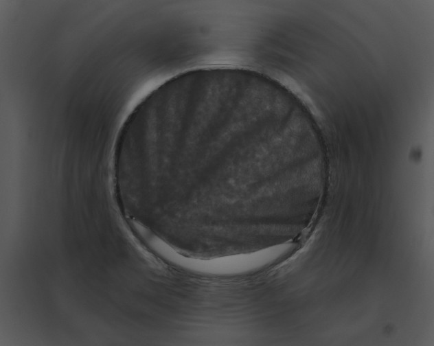 X0000095551469200801041320