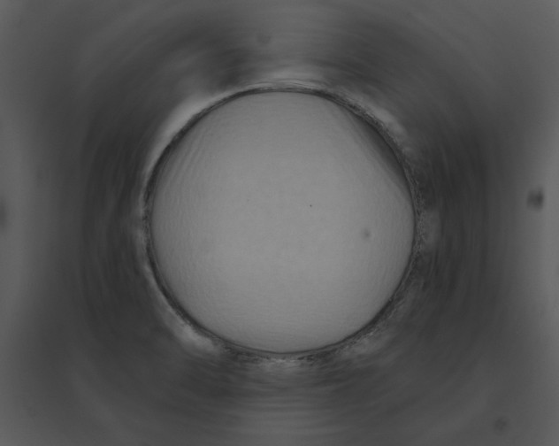 X0000095551470200801041320