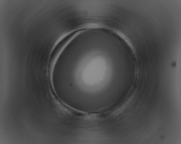 X0000095551473200801041320