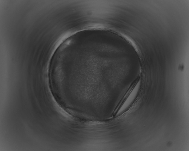 X0000095551475200801041320