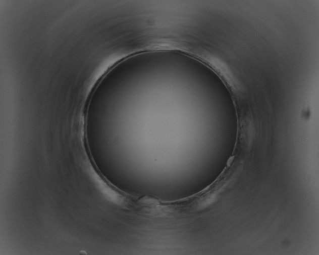 X0000095551476200801041320