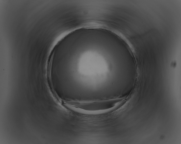 X0000095551477200801041320