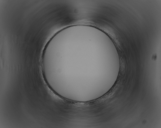 X0000095551478200801041320