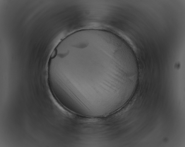 X0000095551479200801041320