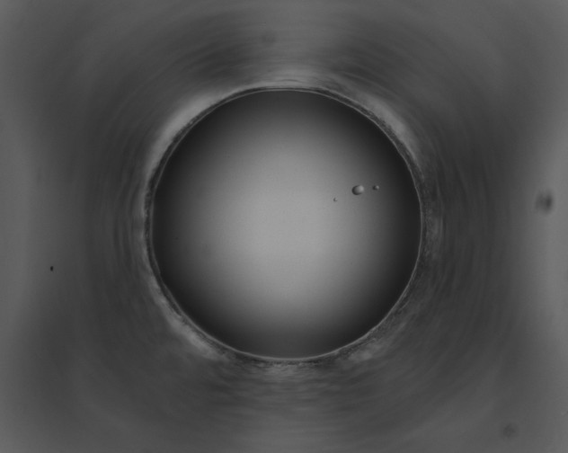 X0000095551480200801041320