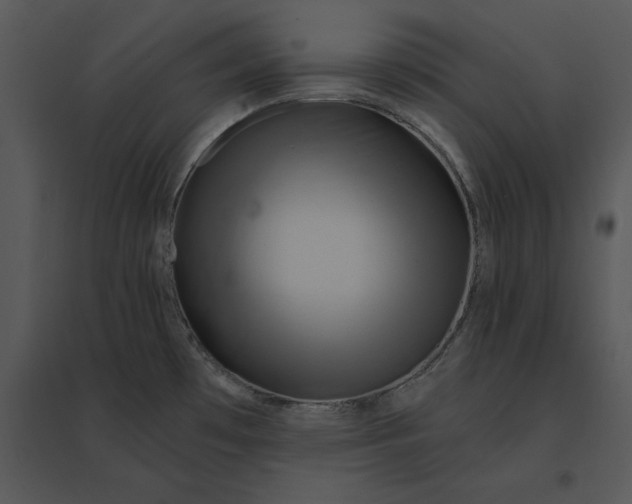 X0000095551481200801041320