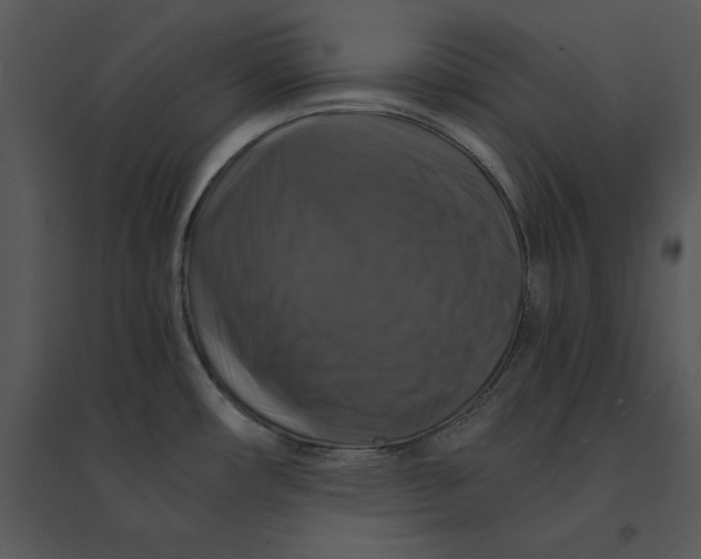 X0000095551482200801041320