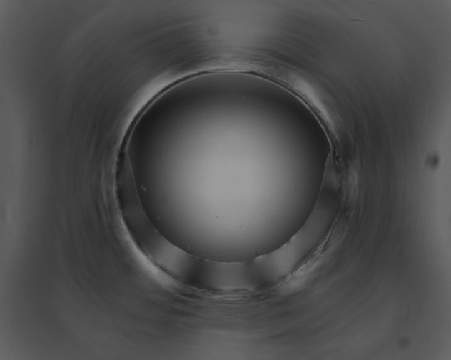 X0000095551484200801041320