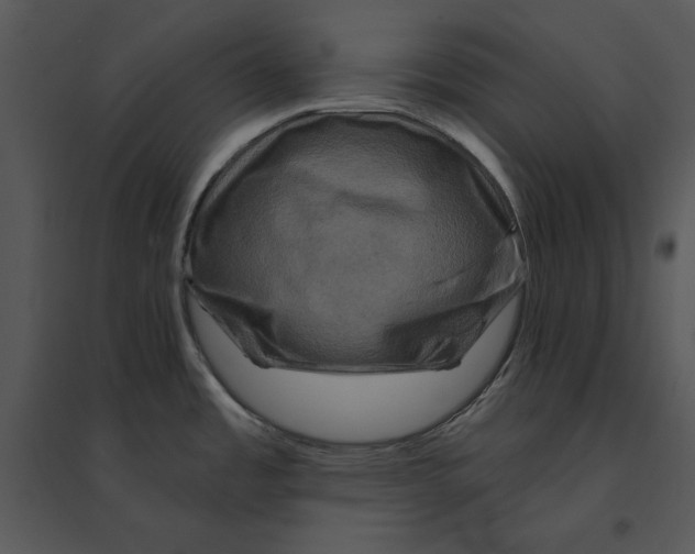 X0000095551485200801041320