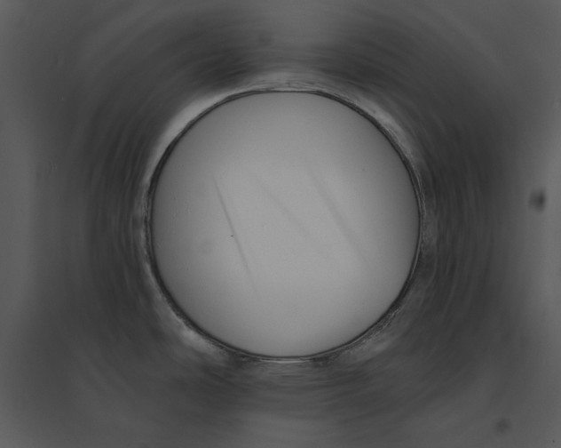 X0000095551486200801041320