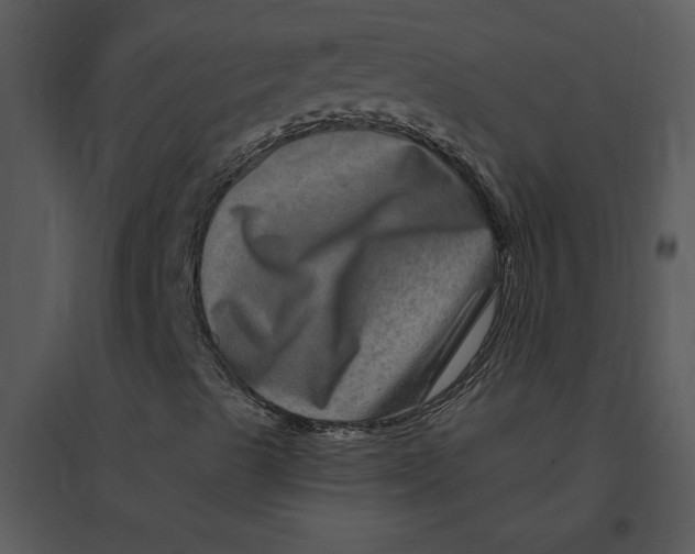 X0000095551489200801041319