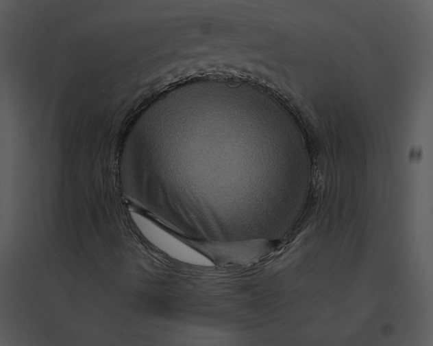 X0000095551490200801041319