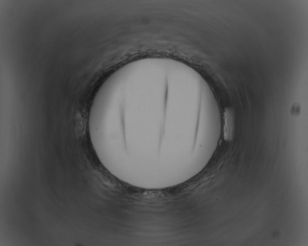 X0000095551491200801041319