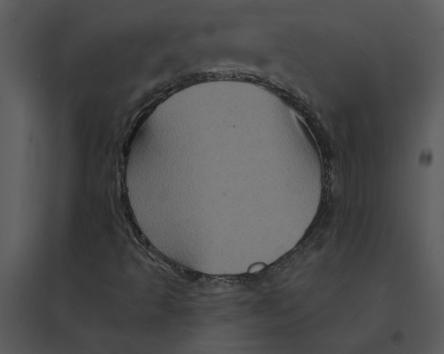 X0000095551493200801041319