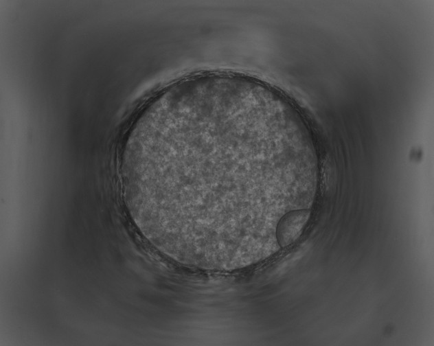 X0000095551494200801041319