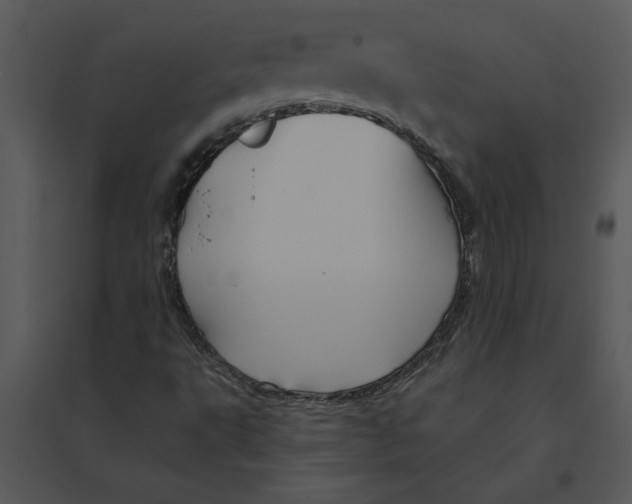 X0000095551495200801041319